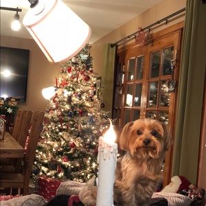 Meet your Posher, Angela